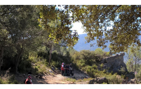 Premiers résultats de la saison 2019